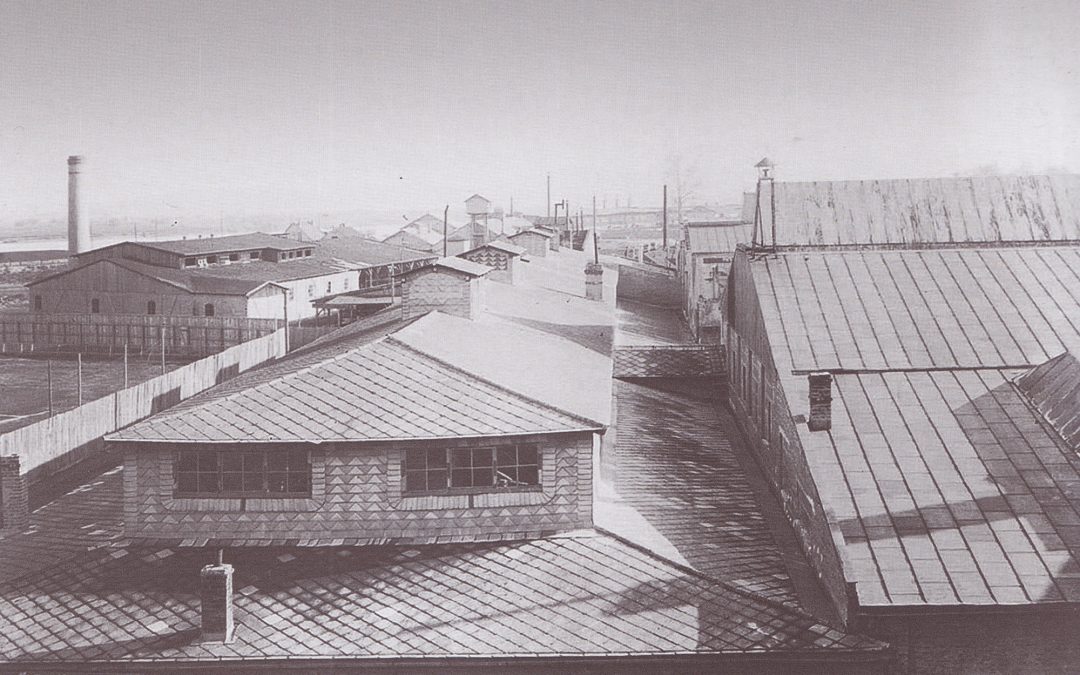 Fabrika aviona i hidroaviona Zmaj – 1933 god